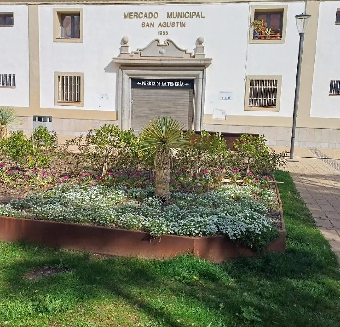 Apartamento Suenos Del Mar Motril 0*,